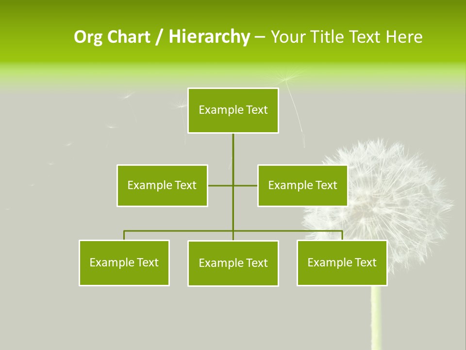 Wehen Pusteblume Blume PowerPoint Template