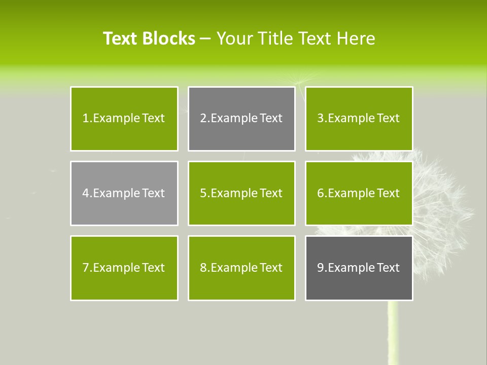 Wehen Pusteblume Blume PowerPoint Template