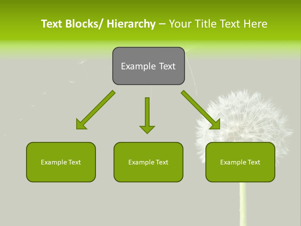 Wehen Pusteblume Blume PowerPoint Template