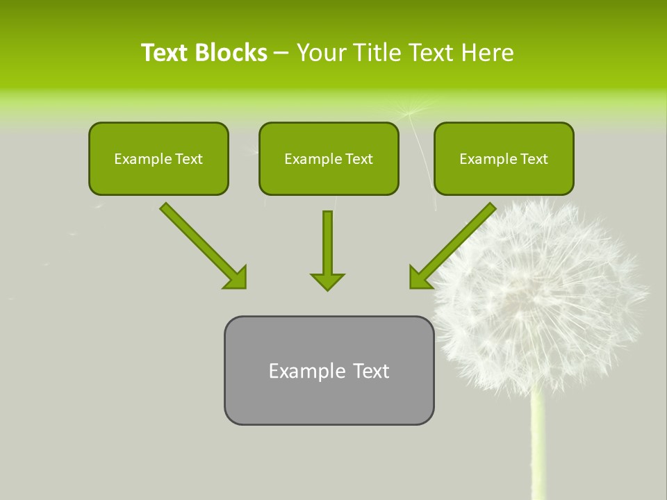 Wehen Pusteblume Blume PowerPoint Template