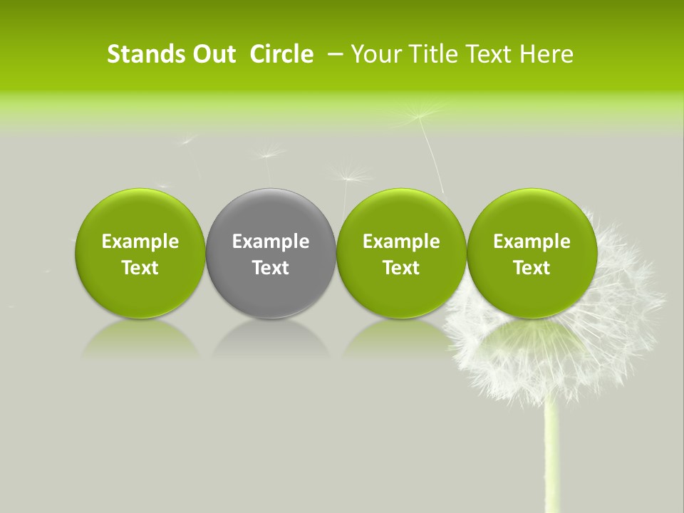 Wehen Pusteblume Blume PowerPoint Template