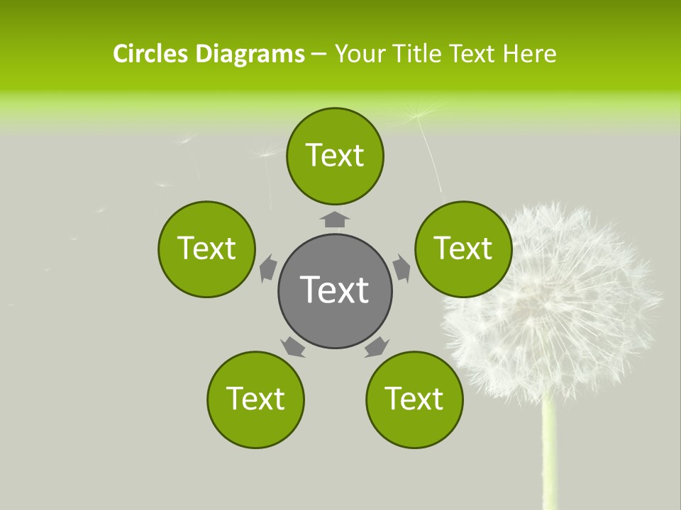 Wehen Pusteblume Blume PowerPoint Template