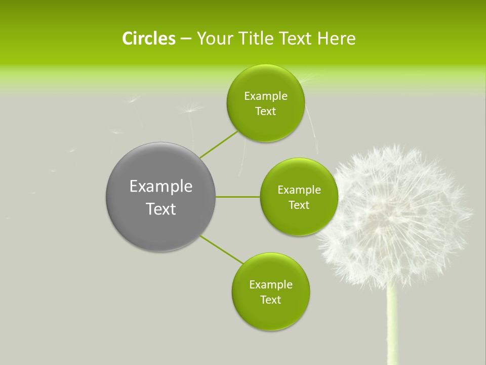 Wehen Pusteblume Blume PowerPoint Template