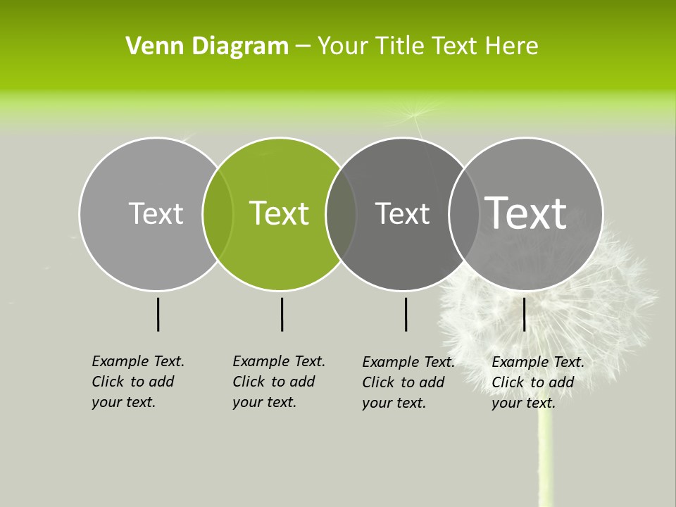 Wehen Pusteblume Blume PowerPoint Template