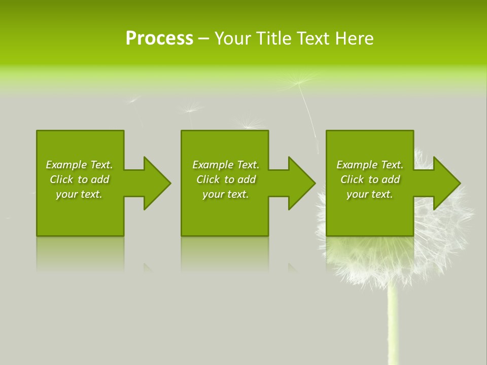 Wehen Pusteblume Blume PowerPoint Template