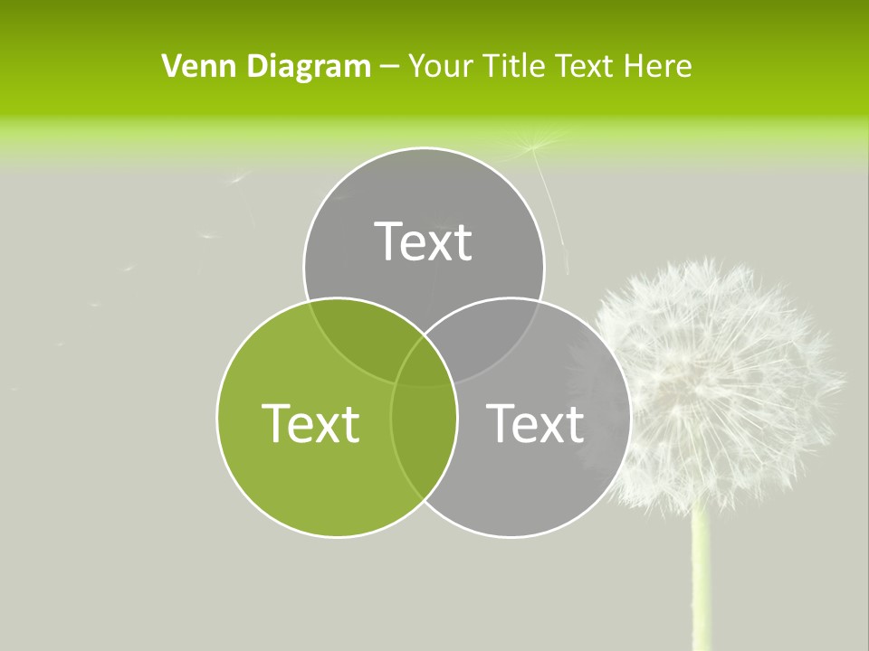 Wehen Pusteblume Blume PowerPoint Template