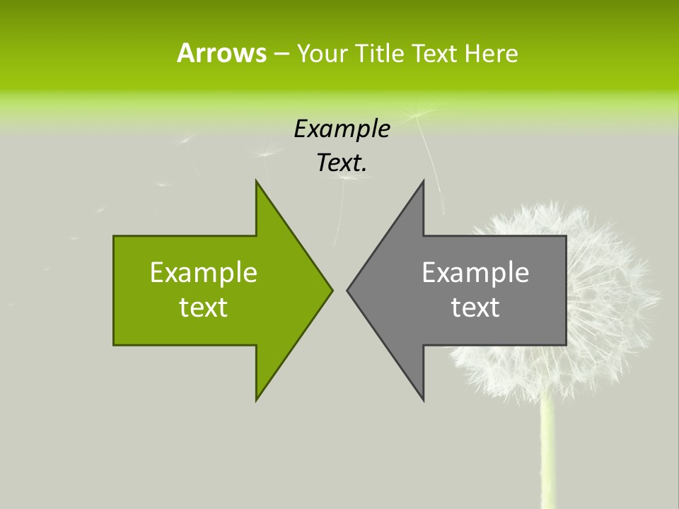 Wehen Pusteblume Blume PowerPoint Template