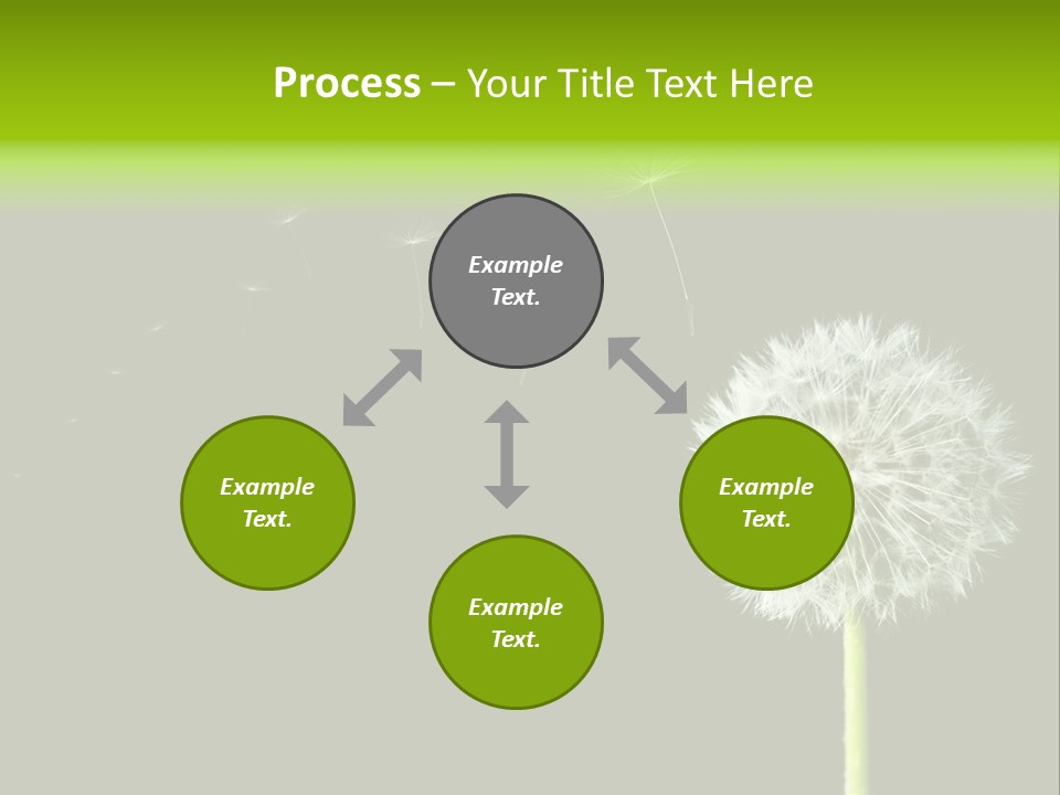 Wehen Pusteblume Blume PowerPoint Template