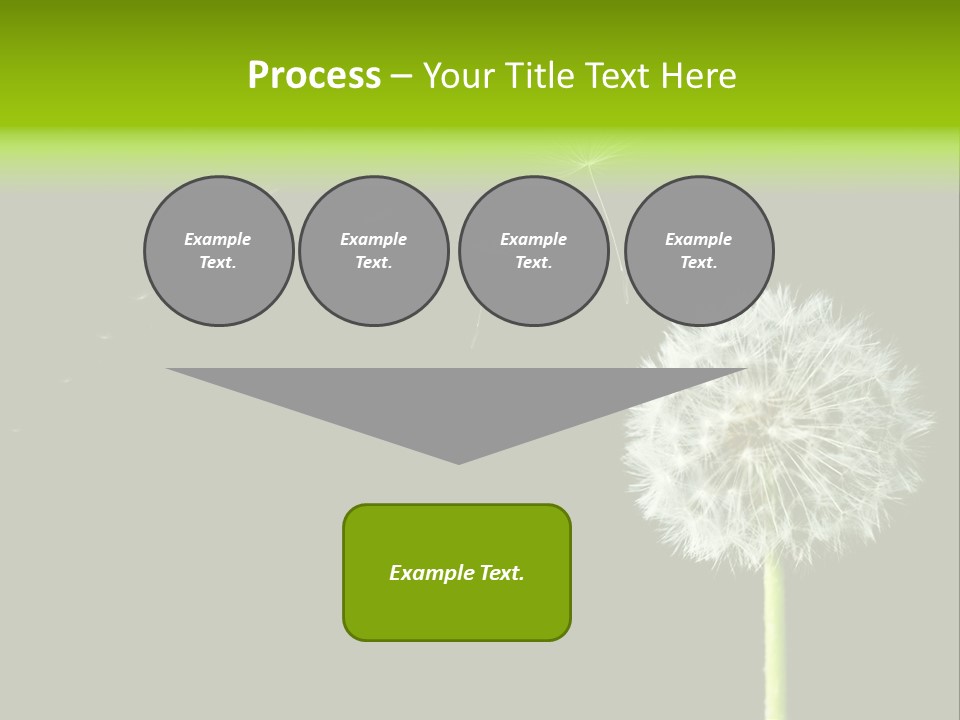 Wehen Pusteblume Blume PowerPoint Template