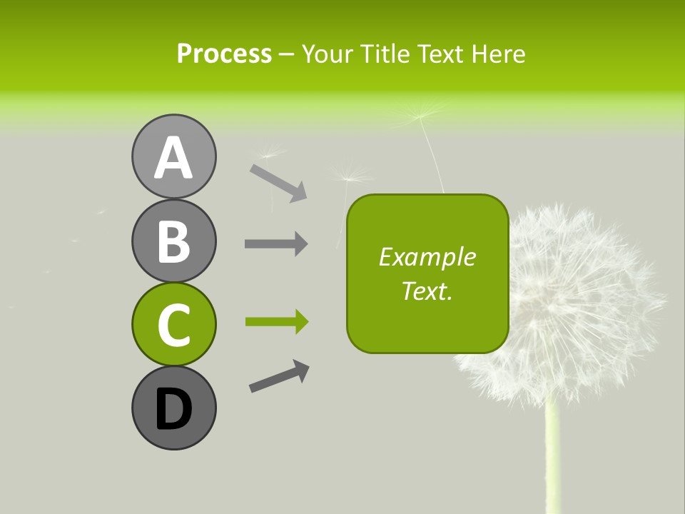 Wehen Pusteblume Blume PowerPoint Template