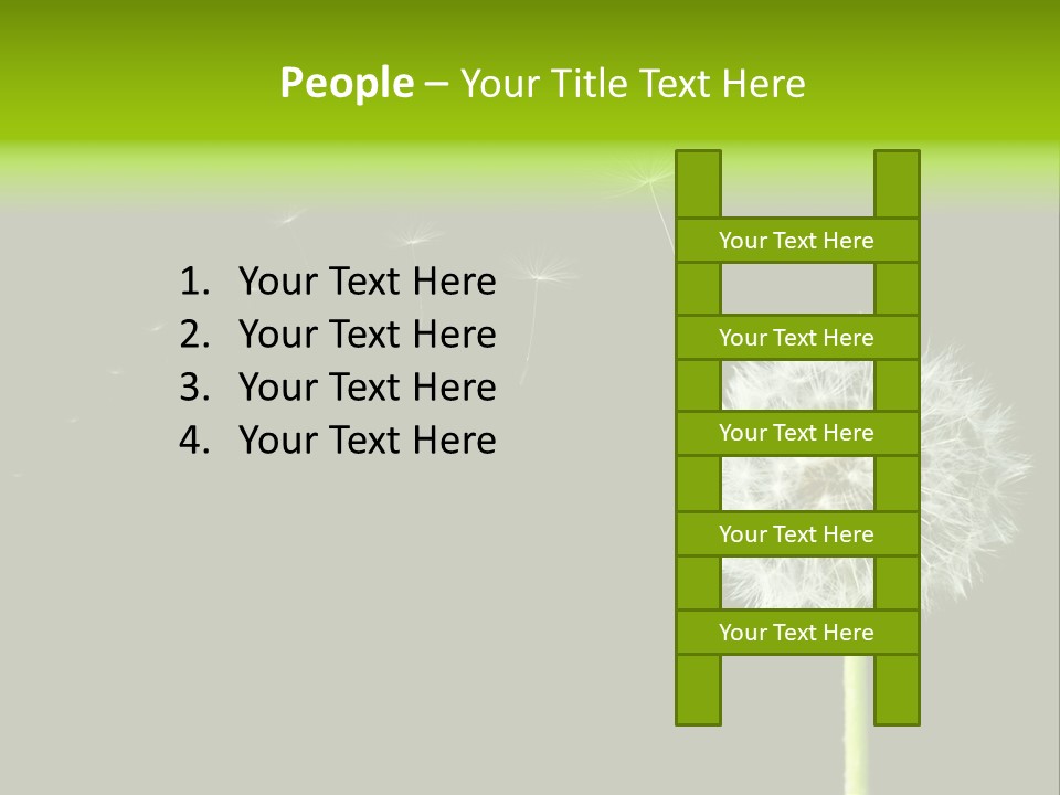 Wehen Pusteblume Blume PowerPoint Template