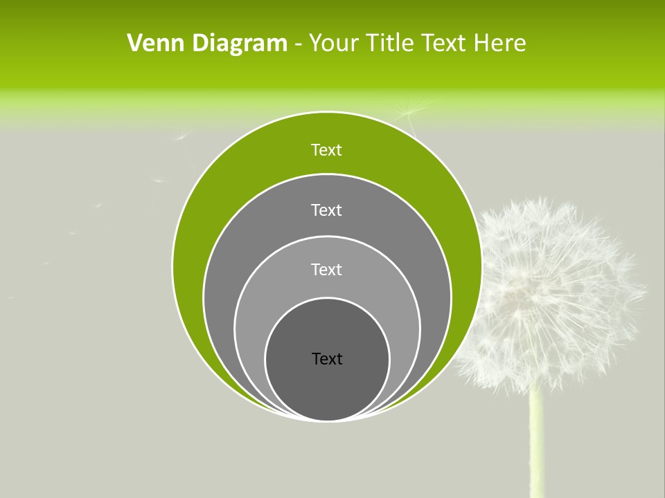 Wehen Pusteblume Blume PowerPoint Template