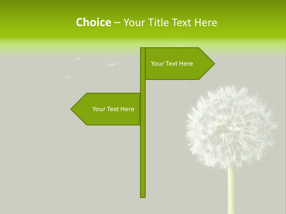 Wehen Pusteblume Blume PowerPoint Template