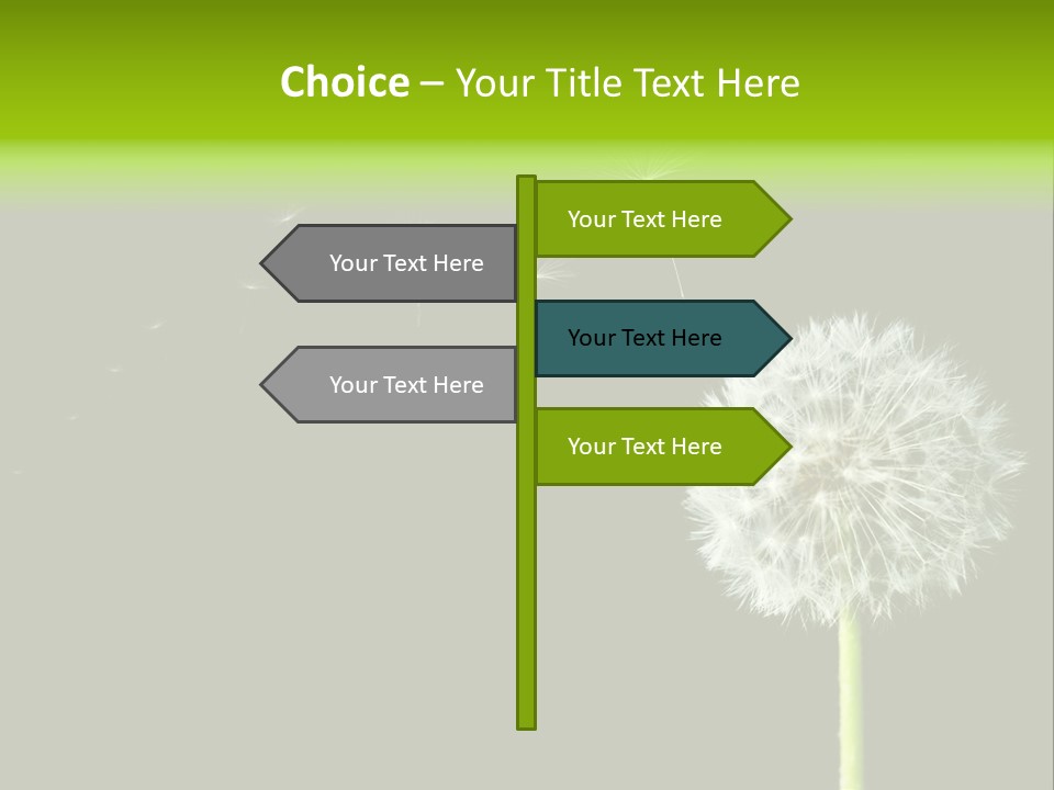 Wehen Pusteblume Blume PowerPoint Template