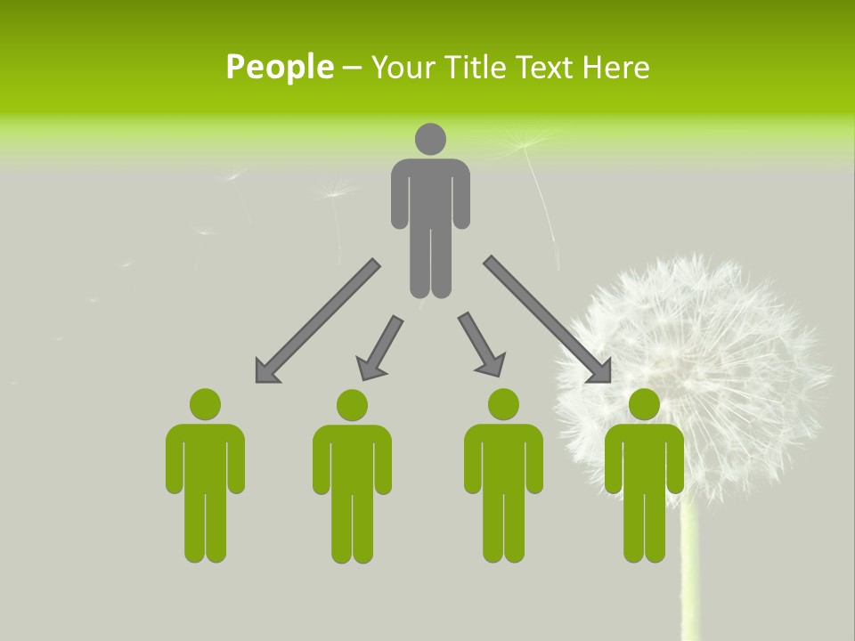 Wehen Pusteblume Blume PowerPoint Template