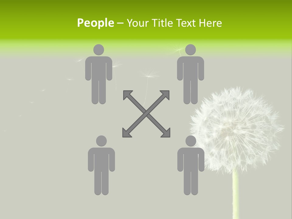 Wehen Pusteblume Blume PowerPoint Template