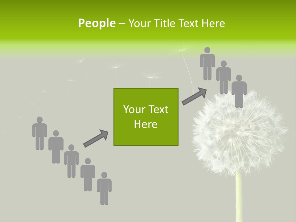 Wehen Pusteblume Blume PowerPoint Template