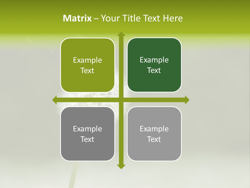 Pollenflug Pusteblume Sommer PowerPoint Template