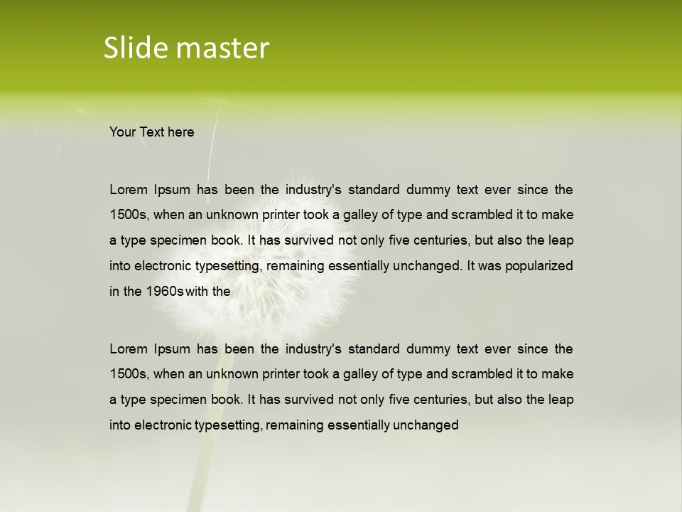 Pollenflug Pusteblume Sommer PowerPoint Template