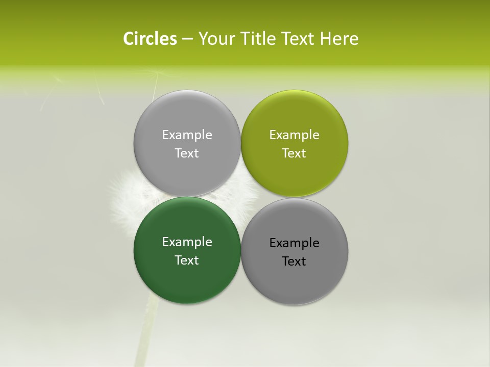 Pollenflug Pusteblume Sommer PowerPoint Template