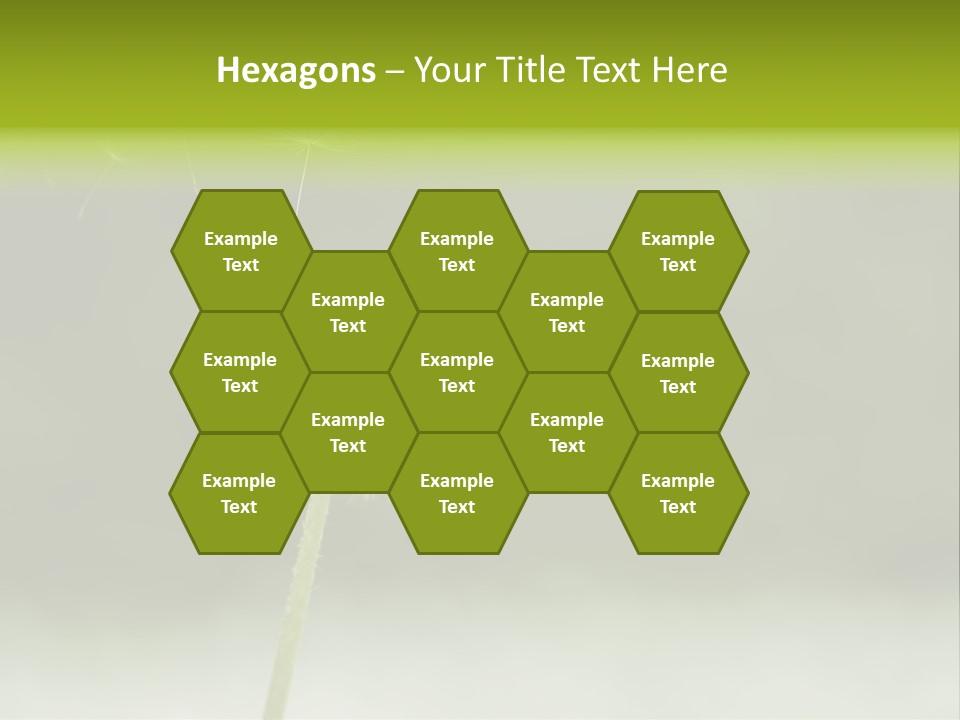 Pollenflug Pusteblume Sommer PowerPoint Template