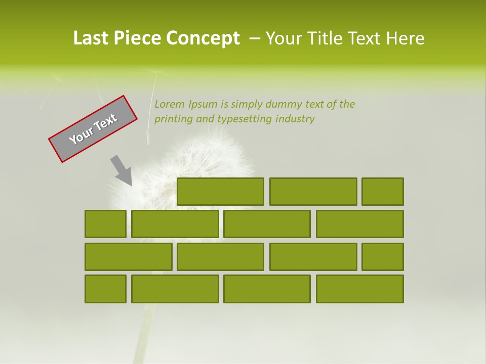 Pollenflug Pusteblume Sommer PowerPoint Template