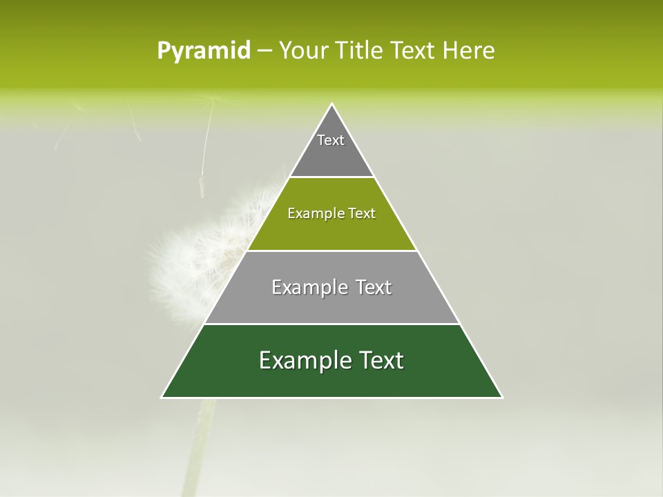 Pollenflug Pusteblume Sommer PowerPoint Template