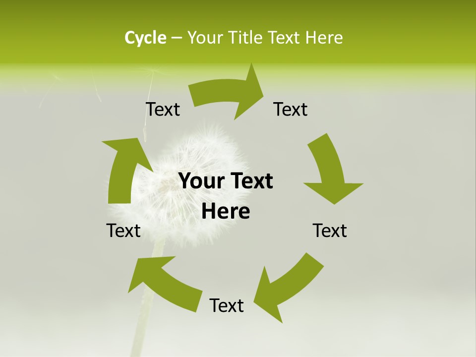 Pollenflug Pusteblume Sommer PowerPoint Template