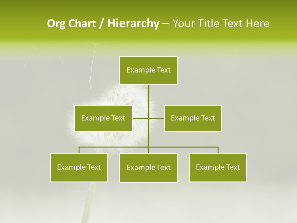 Pollenflug Pusteblume Sommer PowerPoint Template