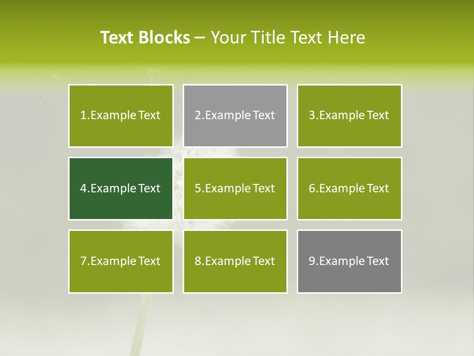 Pollenflug Pusteblume Sommer PowerPoint Template