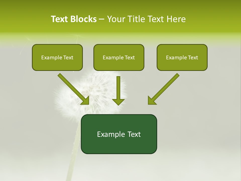 Pollenflug Pusteblume Sommer PowerPoint Template