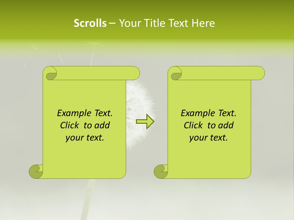 Pollenflug Pusteblume Sommer PowerPoint Template