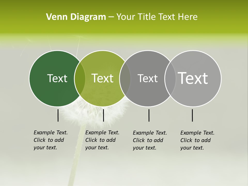 Pollenflug Pusteblume Sommer PowerPoint Template