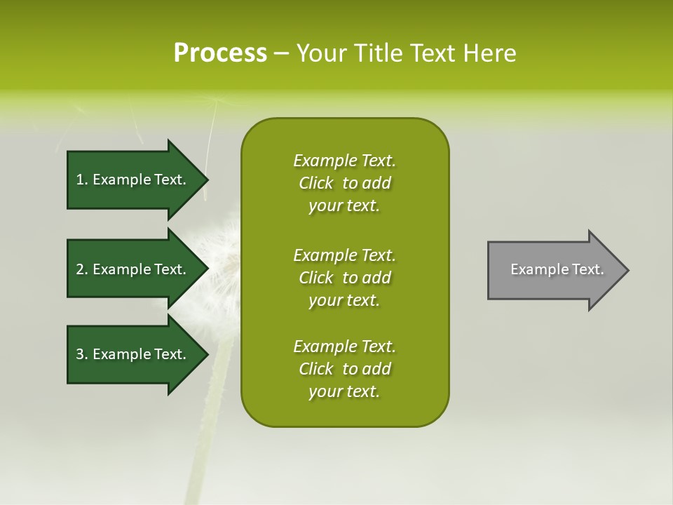 Pollenflug Pusteblume Sommer PowerPoint Template