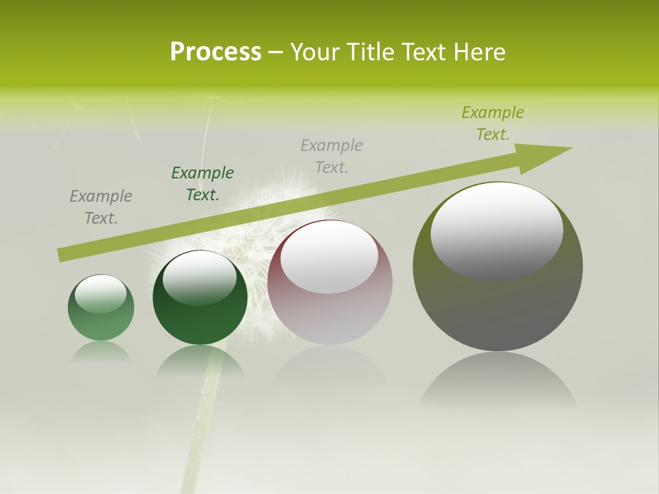 Pollenflug Pusteblume Sommer PowerPoint Template