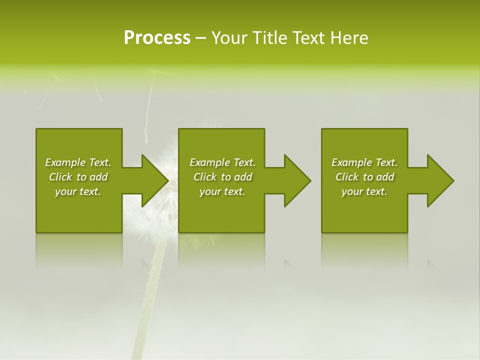 Pollenflug Pusteblume Sommer PowerPoint Template