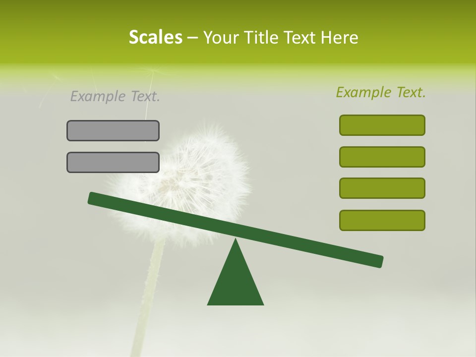 Pollenflug Pusteblume Sommer PowerPoint Template