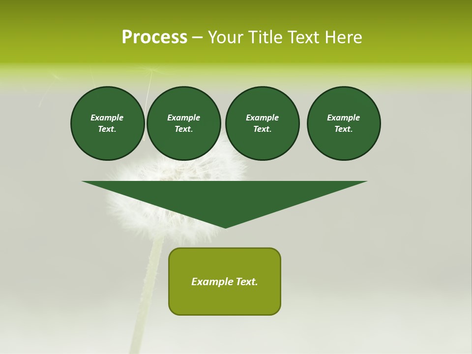 Pollenflug Pusteblume Sommer PowerPoint Template