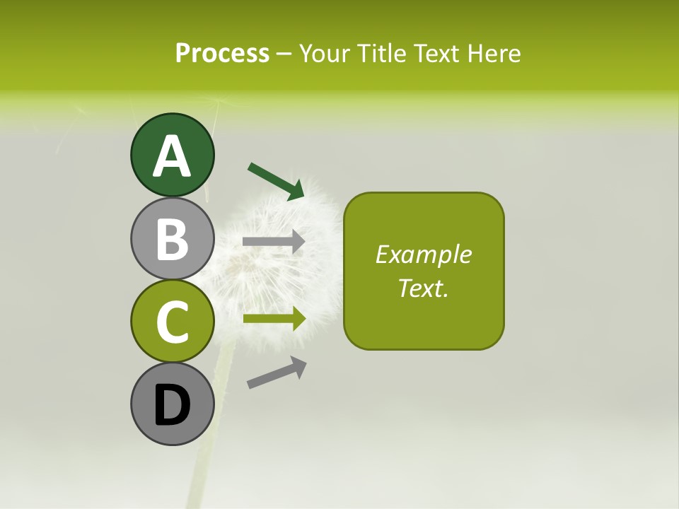 Pollenflug Pusteblume Sommer PowerPoint Template