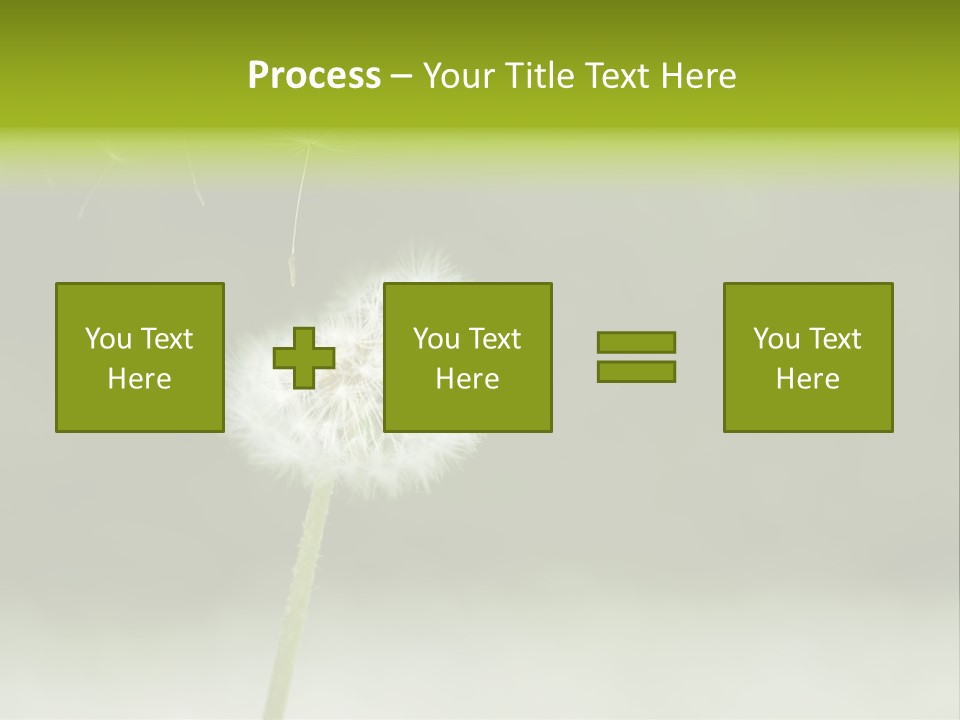 Pollenflug Pusteblume Sommer PowerPoint Template