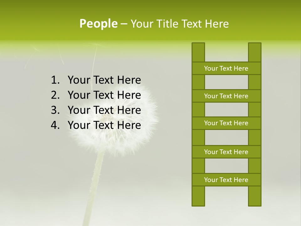 Pollenflug Pusteblume Sommer PowerPoint Template