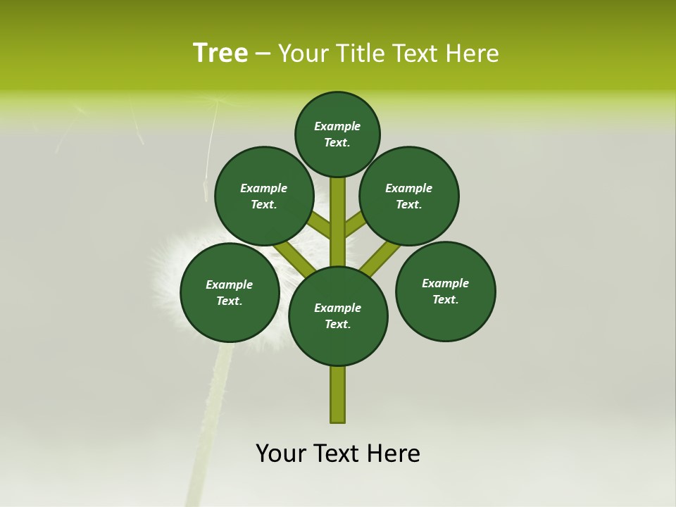 Pollenflug Pusteblume Sommer PowerPoint Template