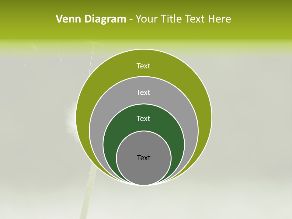 Pollenflug Pusteblume Sommer PowerPoint Template