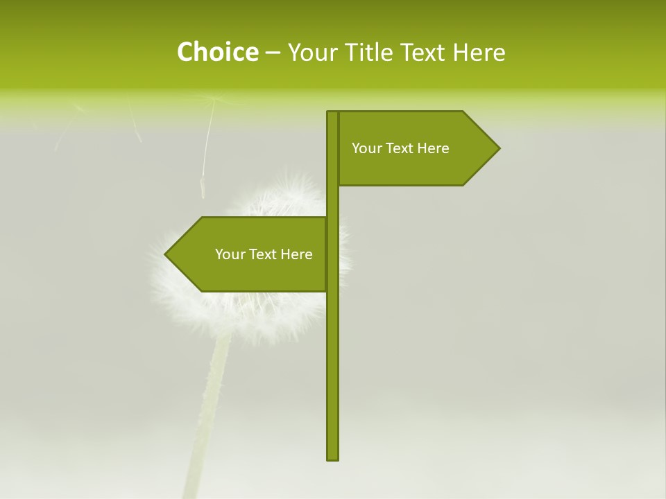 Pollenflug Pusteblume Sommer PowerPoint Template