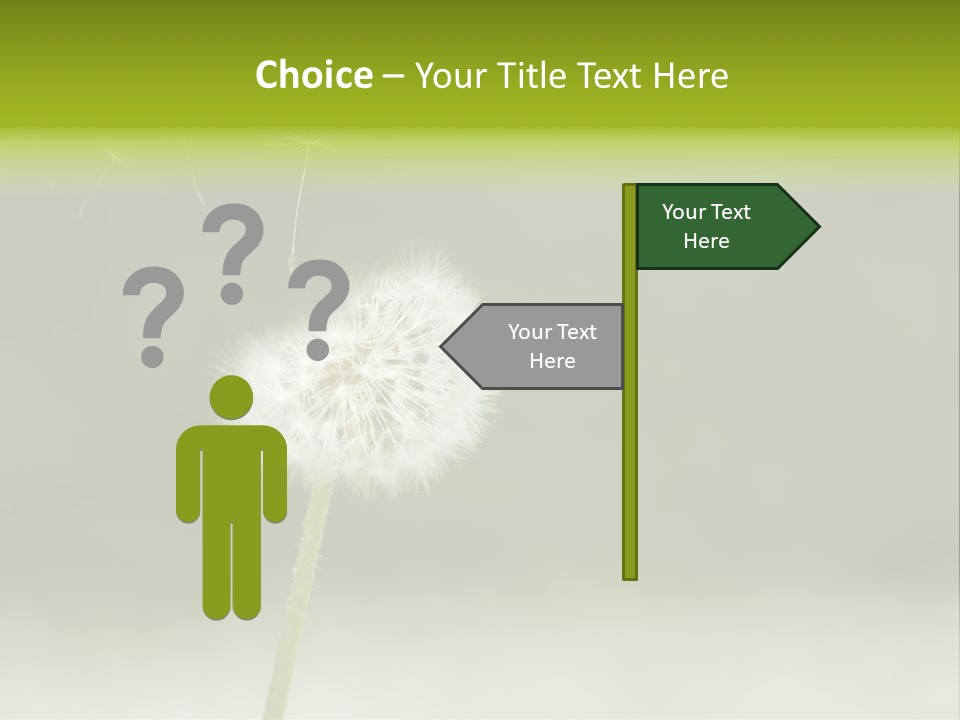 Pollenflug Pusteblume Sommer PowerPoint Template