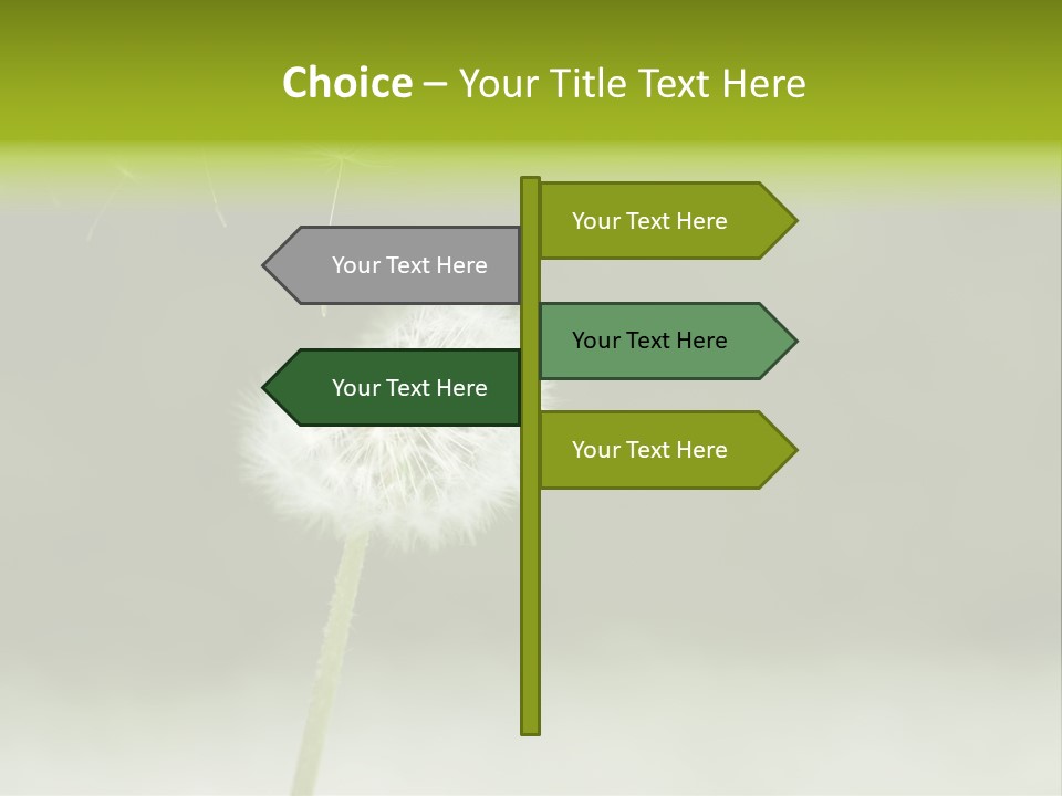 Pollenflug Pusteblume Sommer PowerPoint Template