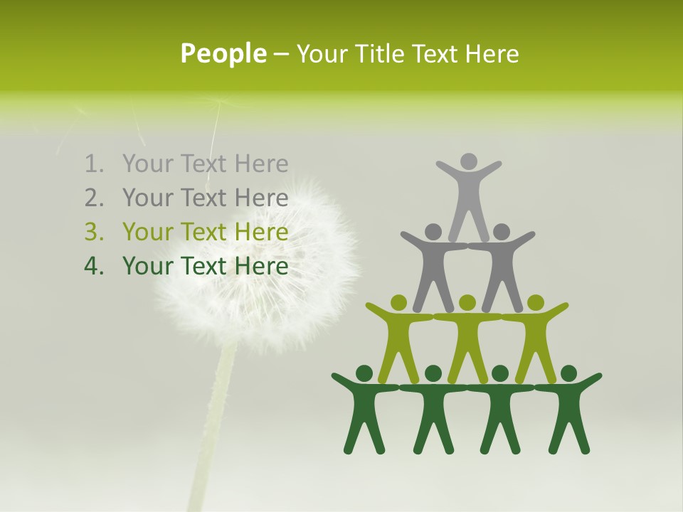 Pollenflug Pusteblume Sommer PowerPoint Template