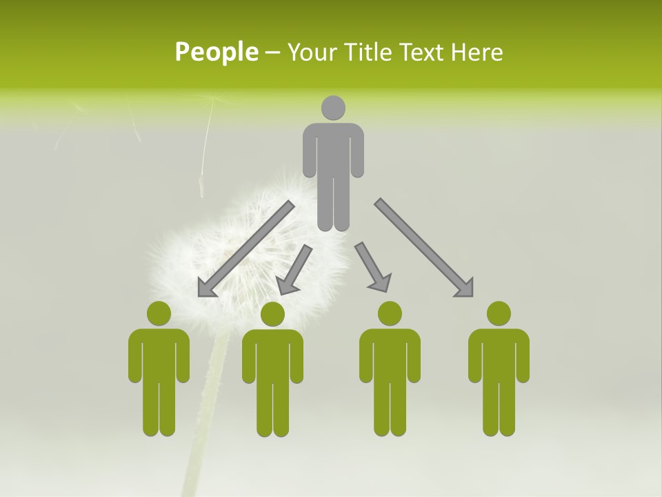 Pollenflug Pusteblume Sommer PowerPoint Template