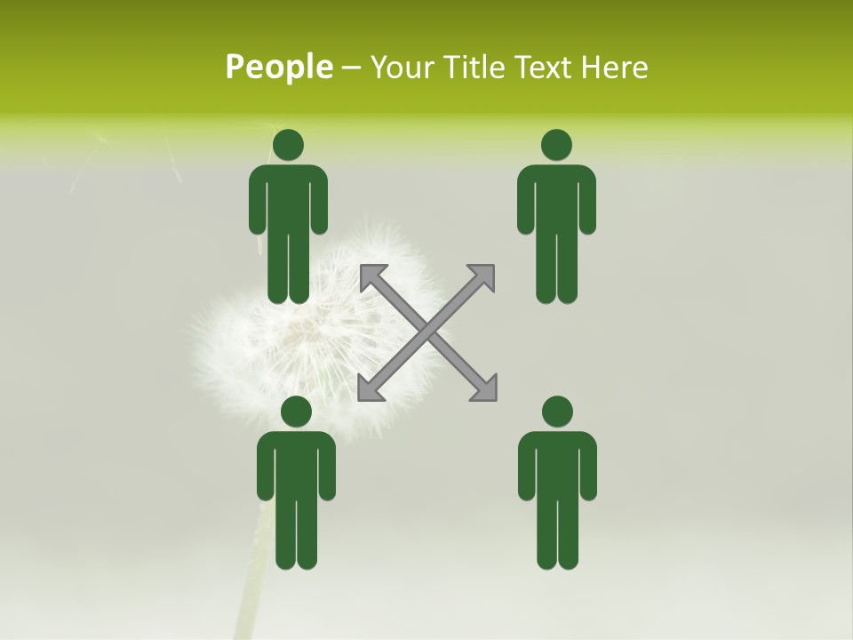 Pollenflug Pusteblume Sommer PowerPoint Template