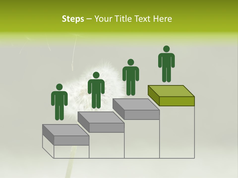 Pollenflug Pusteblume Sommer PowerPoint Template